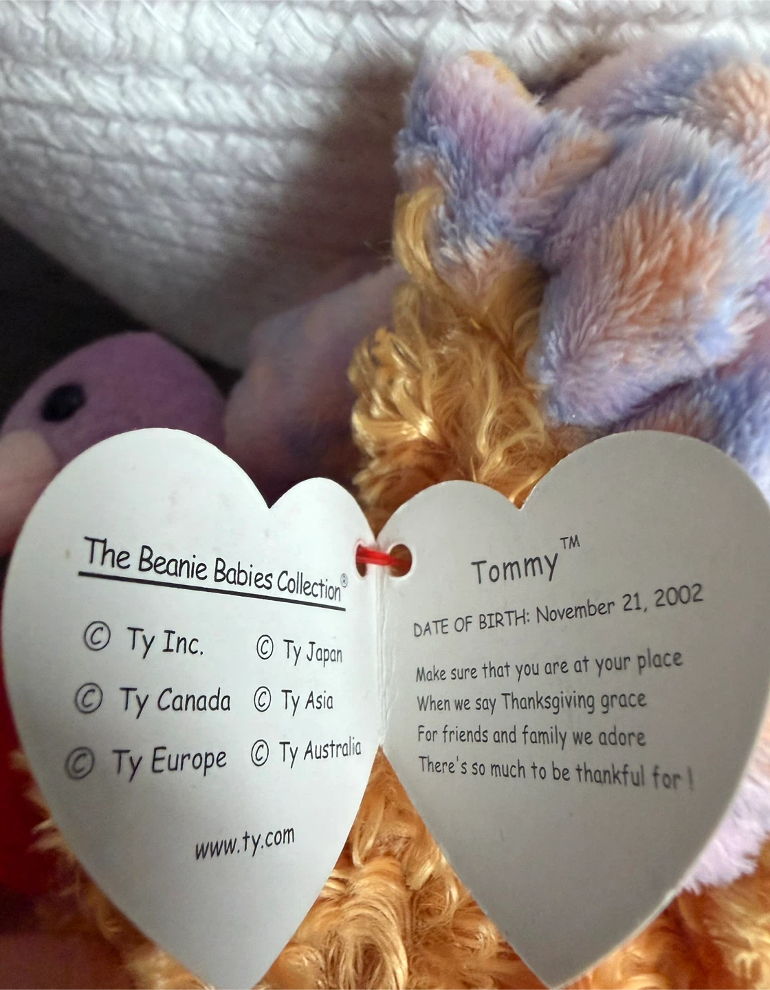 Ty Beanie Babies Tommy the Turkey Plush - photo 2