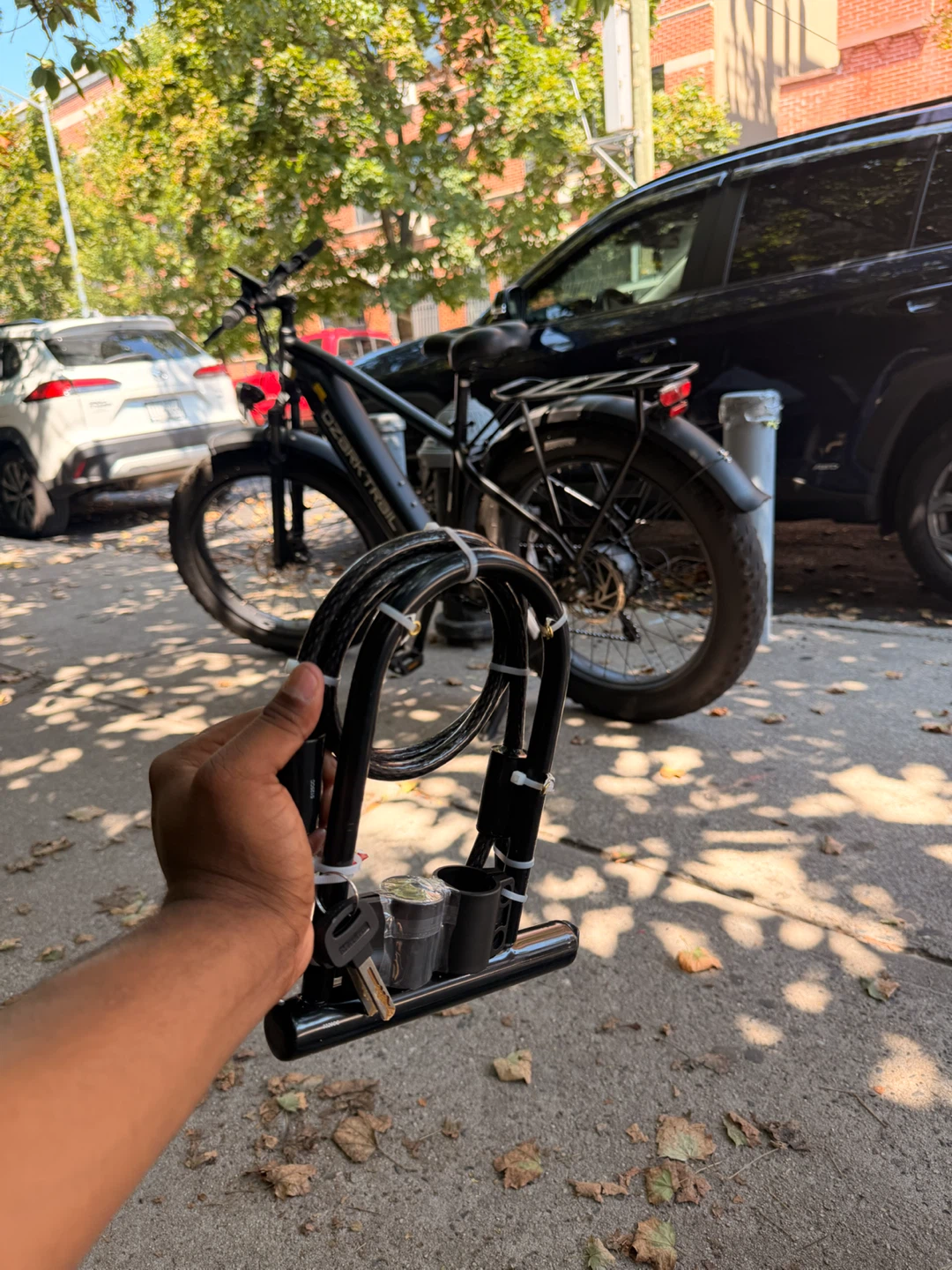 Ozark Trail Fat Tire Electric Bike