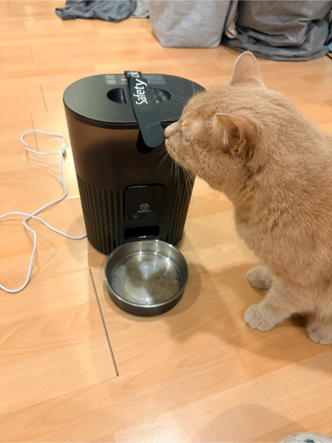 Papi feed Automatic Pet Feeder