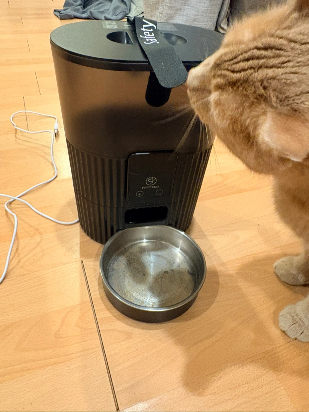 Papi feed Automatic Pet Feeder - photo 2