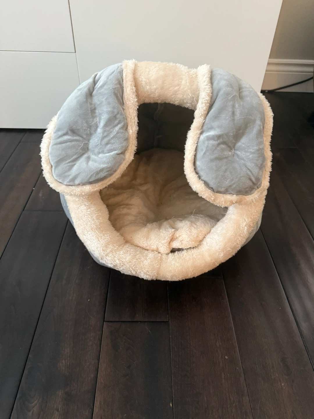 Cat bed