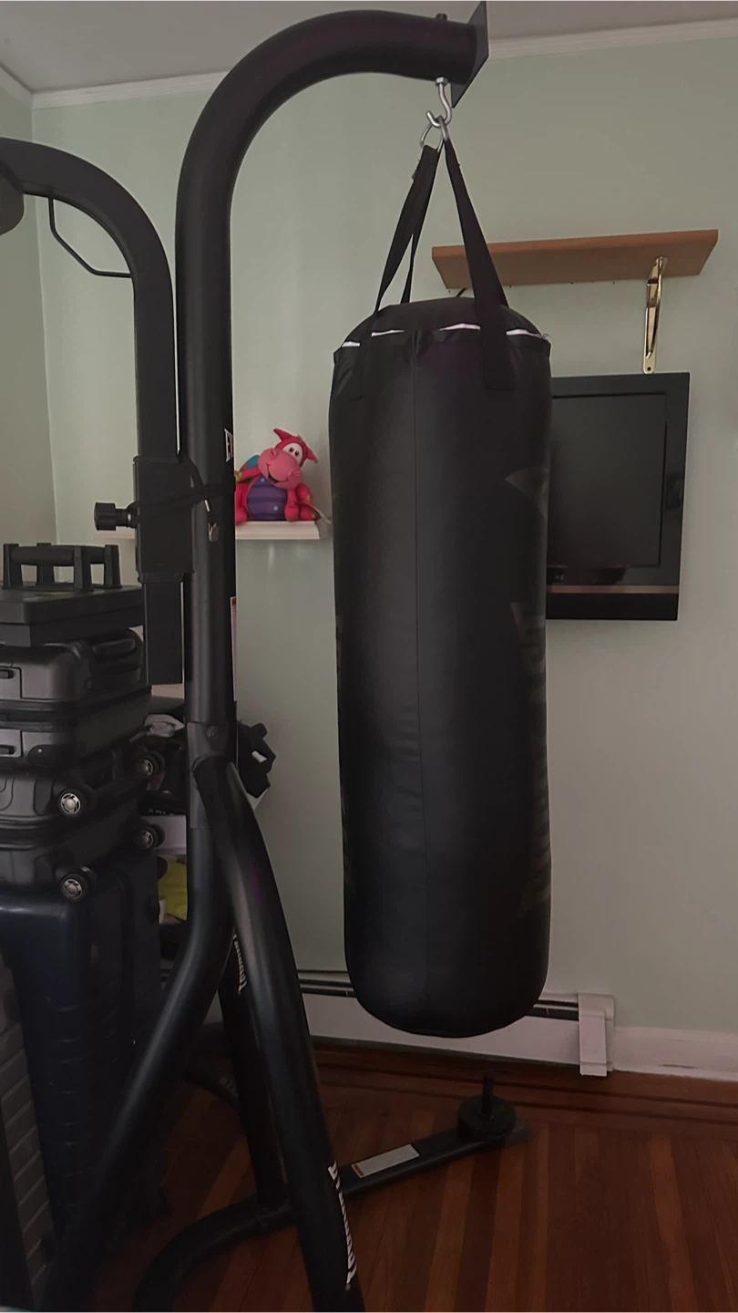 Everlast Punching Bag and Stand