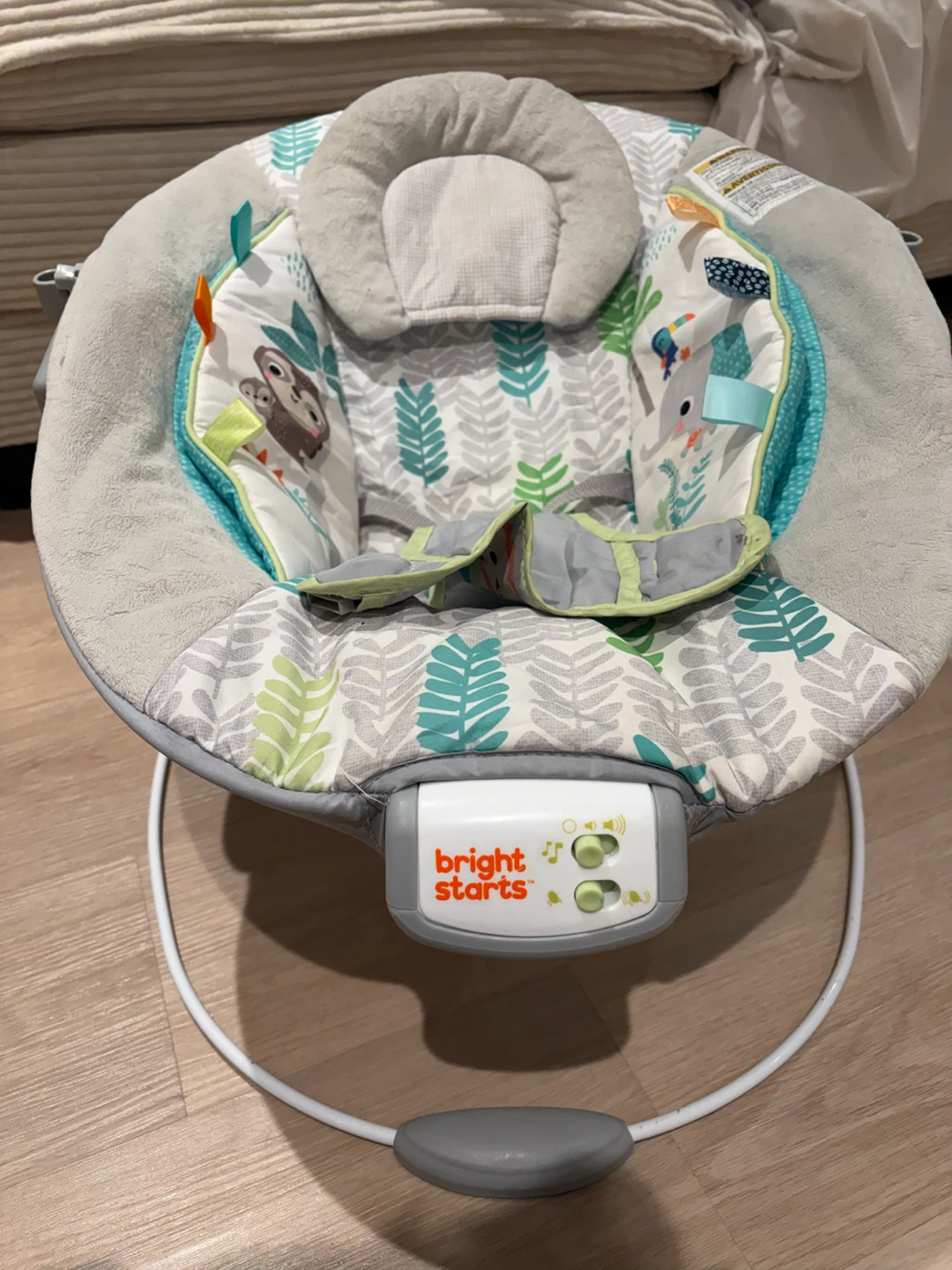 Bright Starts Baby Bouncer Seat