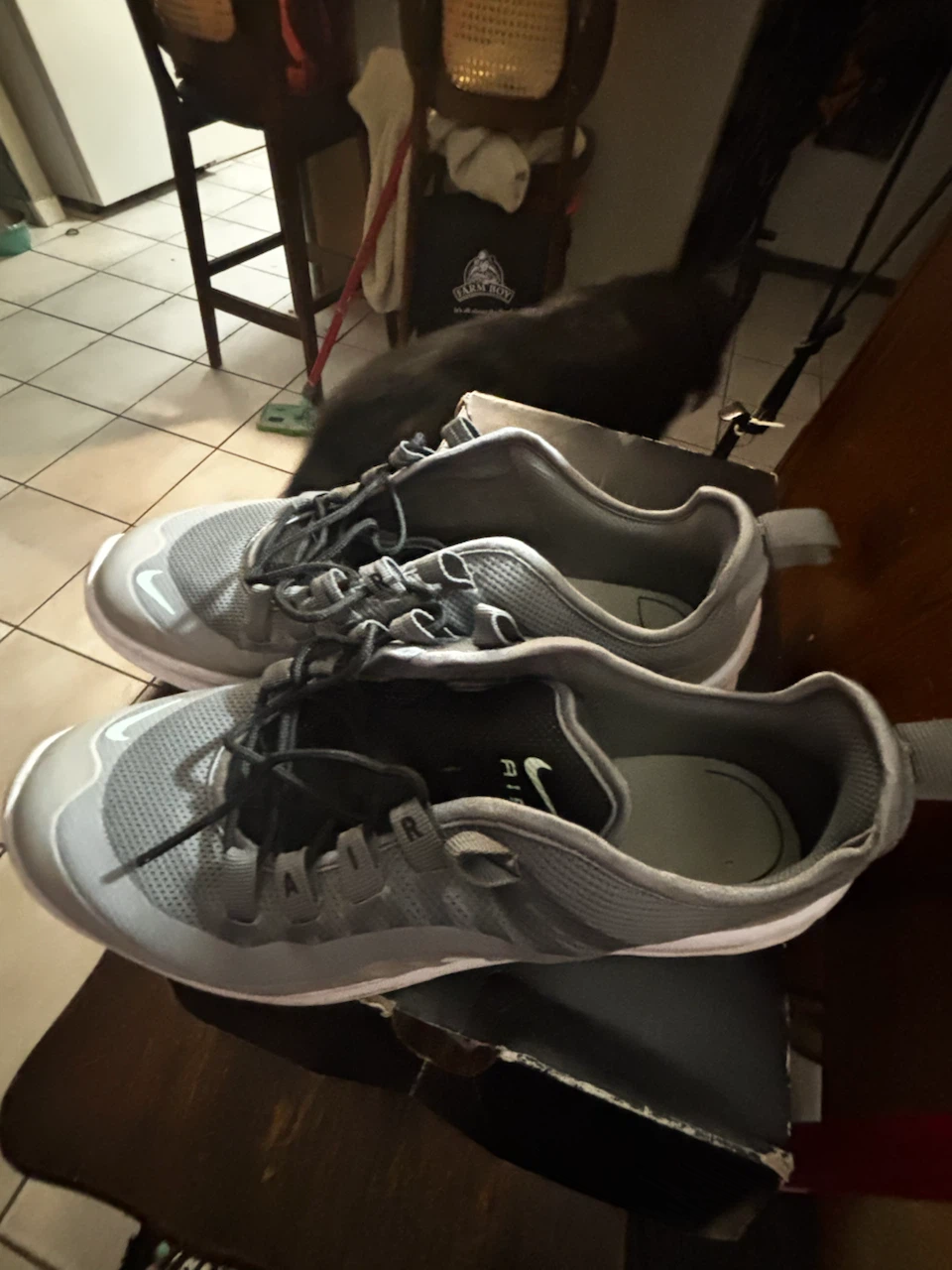 Nike Air Max Shoes