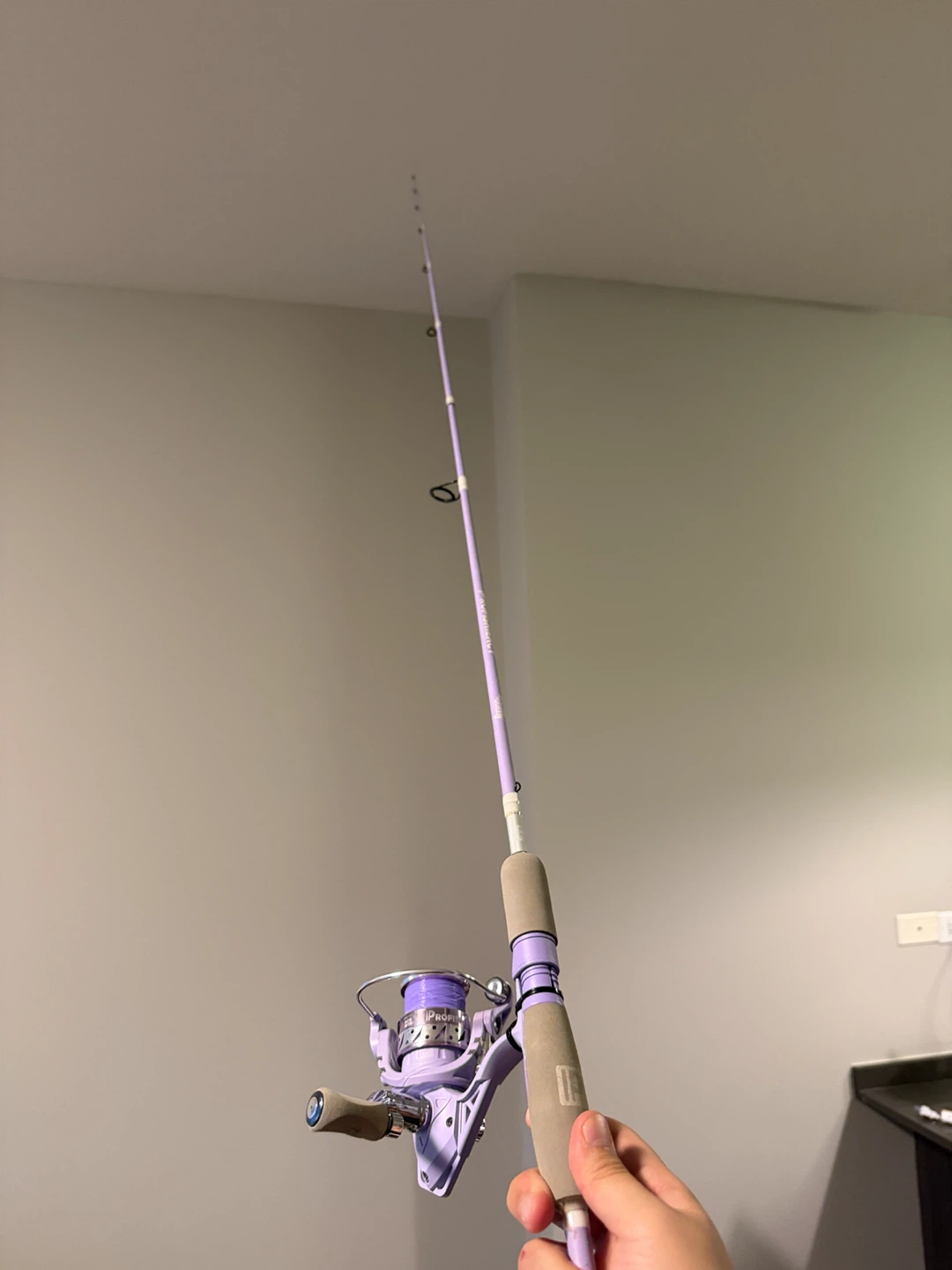 Iprofishiency Fishing Rod and Reel Combo - Purple