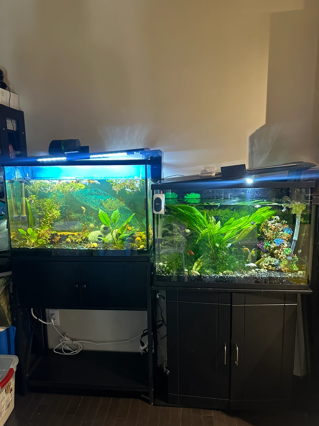 Two Aquariums with Stands full set