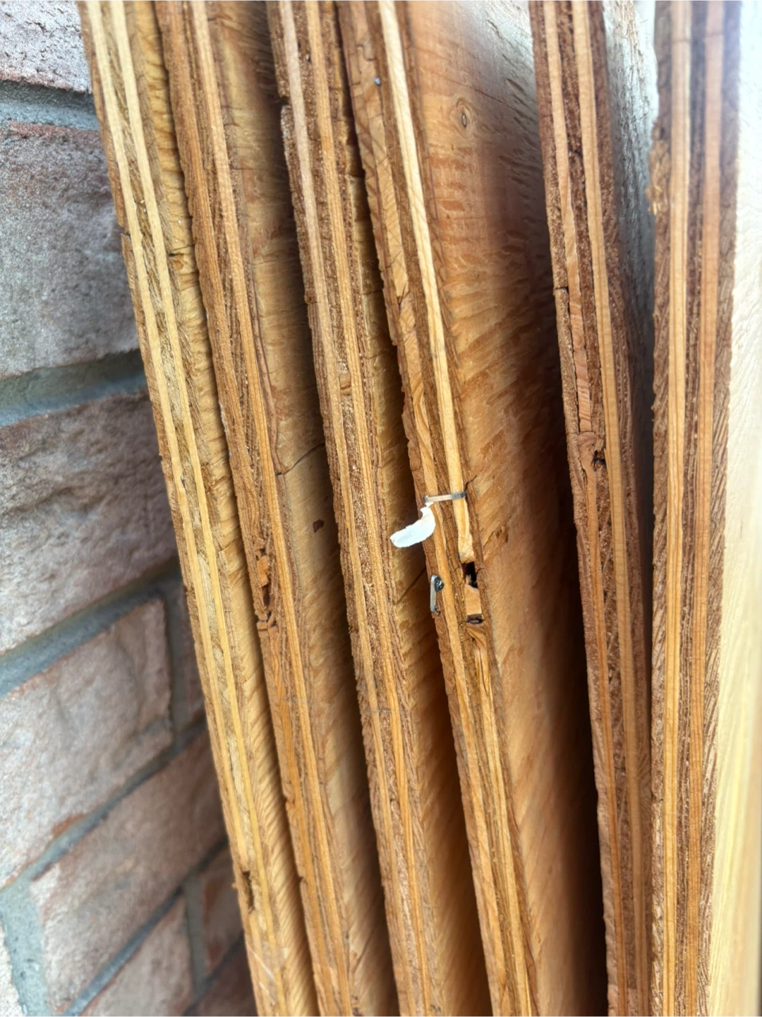 Plywood Sheathing Sheets - photo 3
