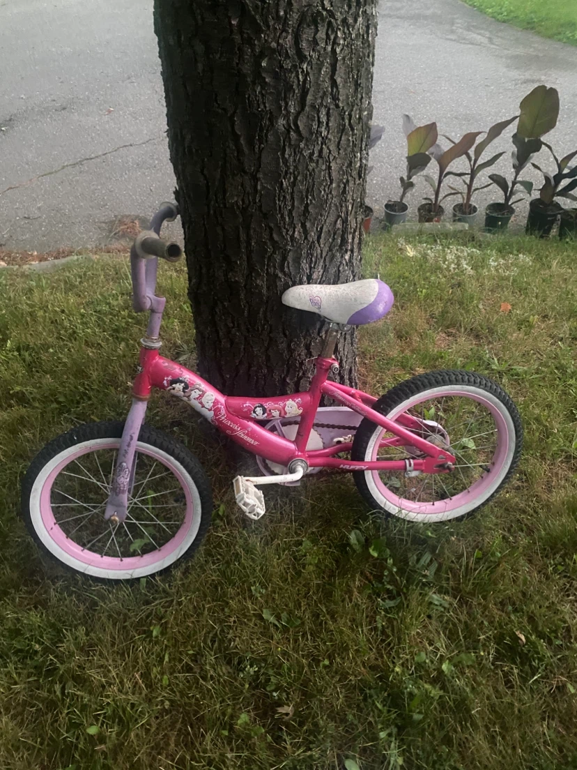 Girls Pink Disney Princess Bicycle
