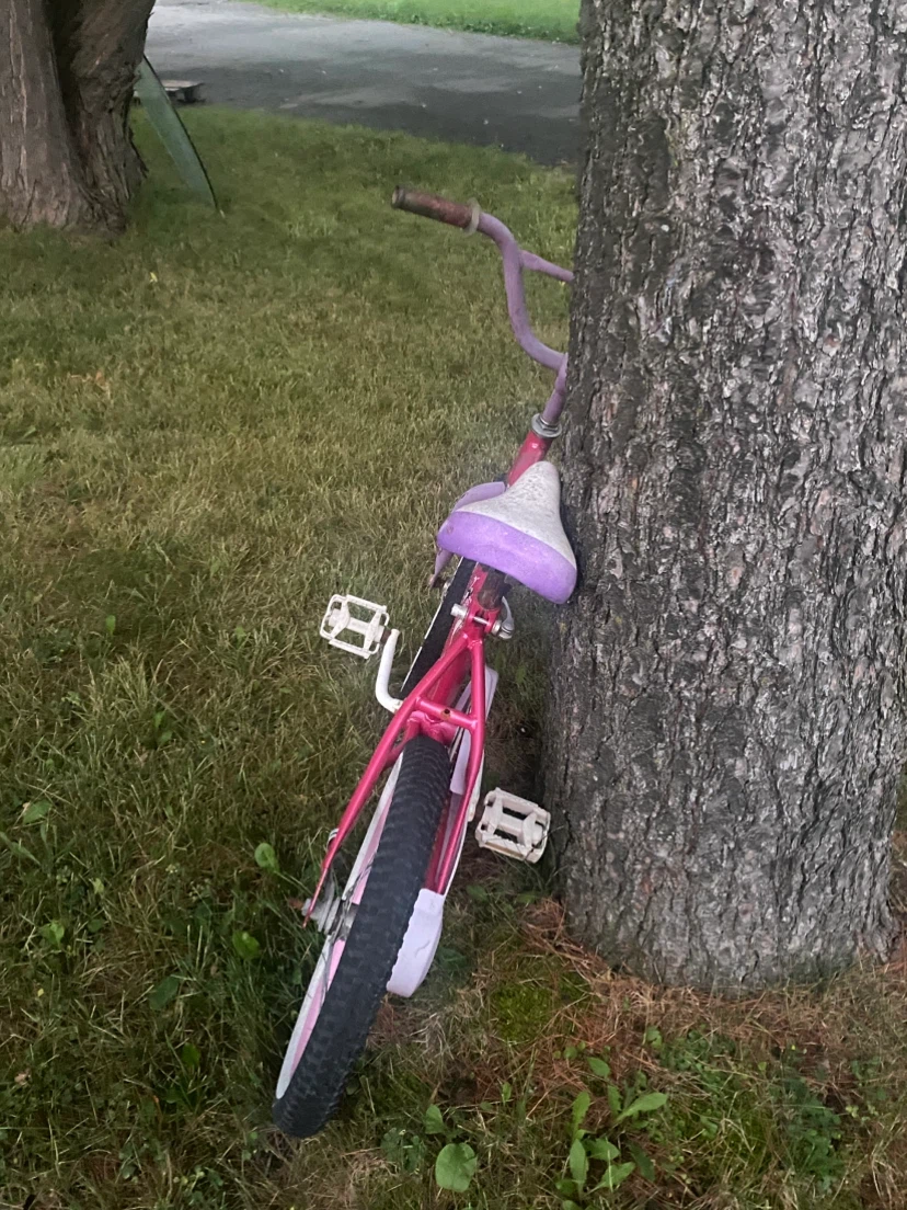 Girls Pink Disney Princess Bicycle - photo 2
