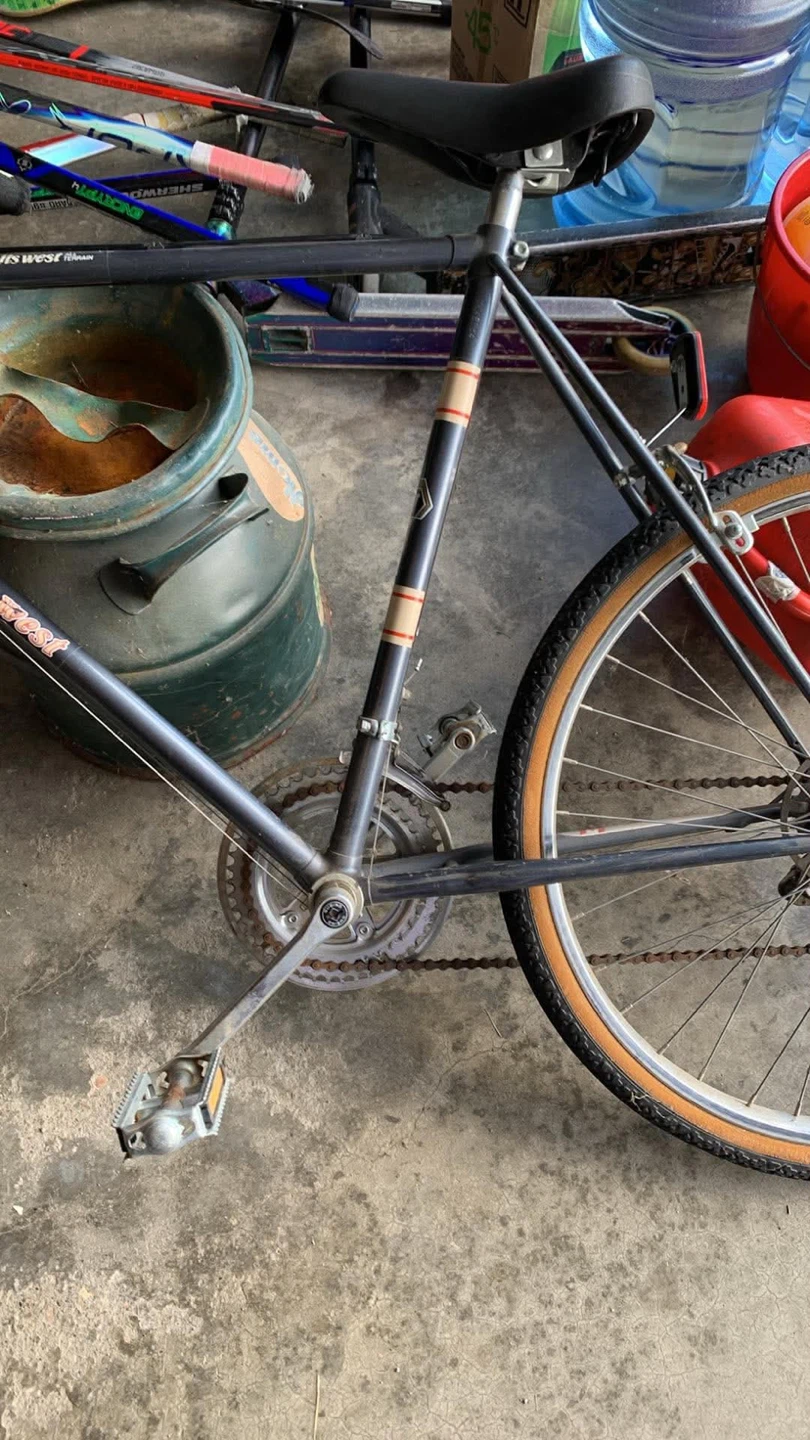 Road King Bicycle - photo 4