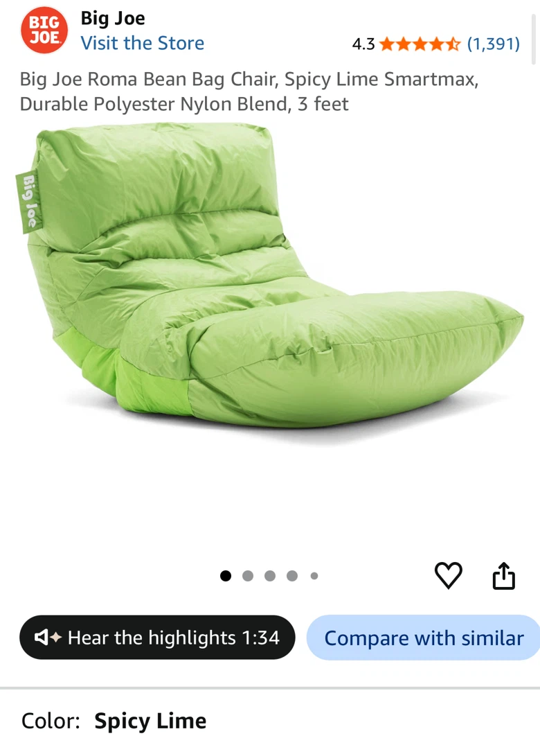 Big Joe Roma Bean Bag Chair