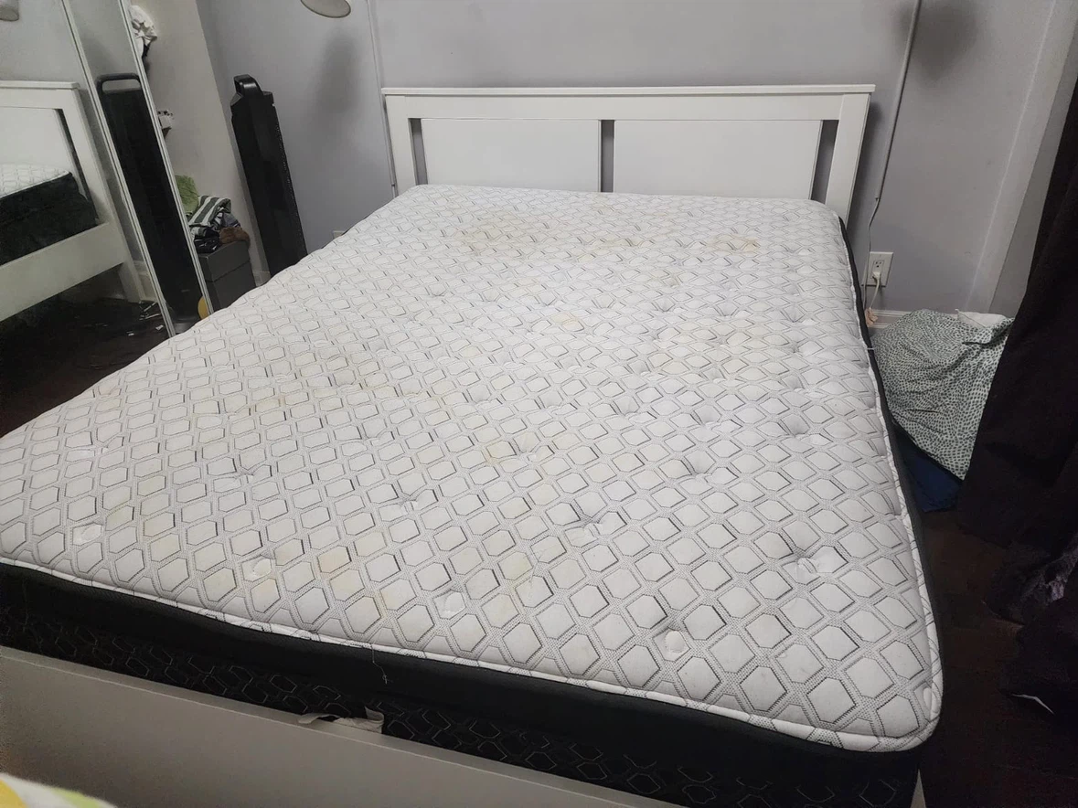 IKEA Queen Bed and Sealy Super Luxury White Queen Size Mattress - photo 3