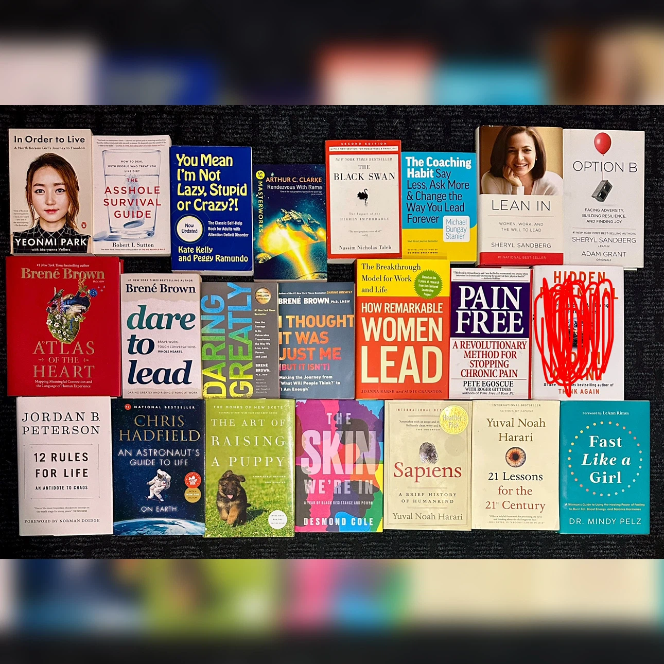 21 Lessons for the 21st Century, Sapiens, 12 rules for life