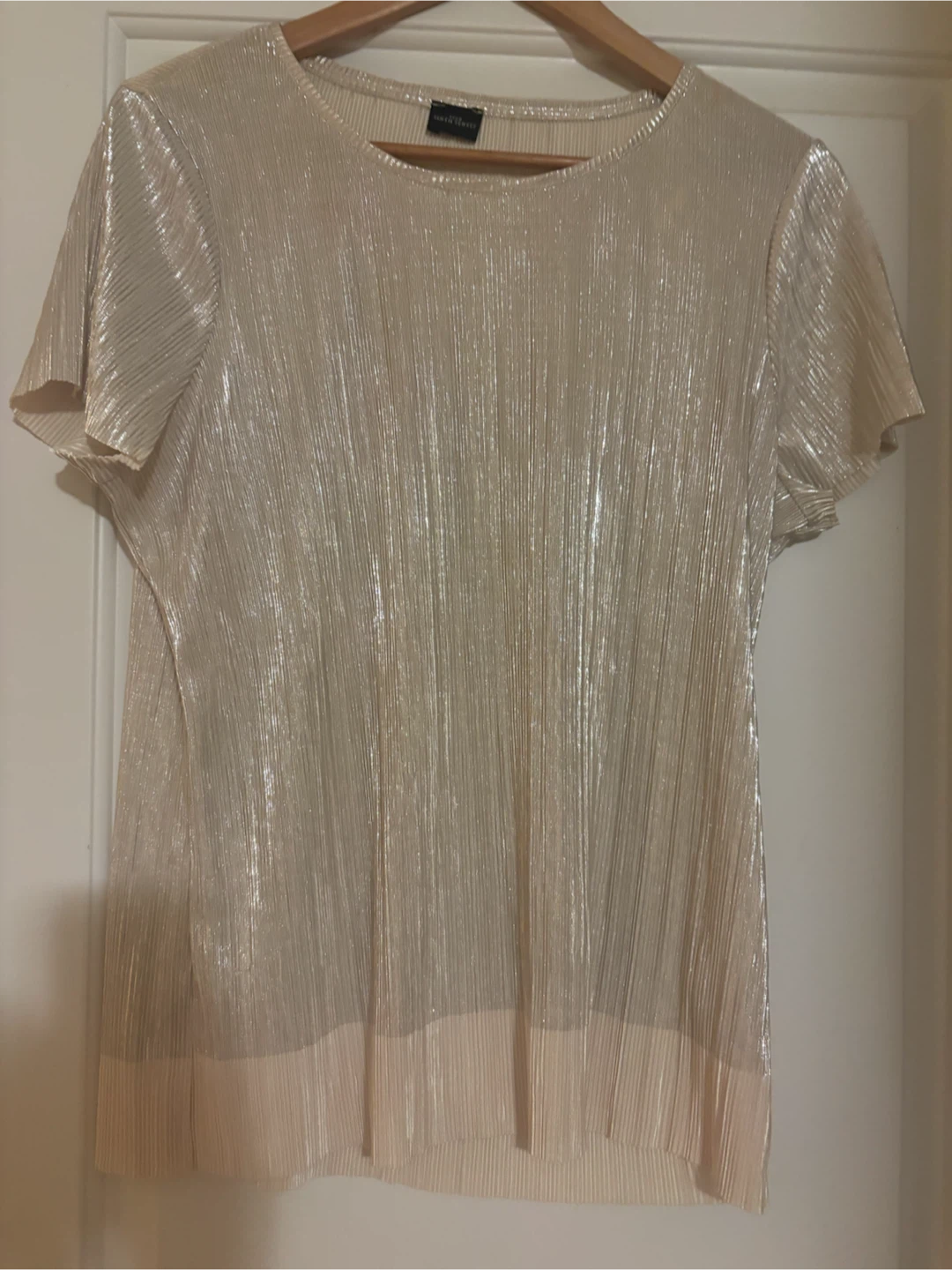 Your Sixth Sense Sheer Pleated Blouse, size L