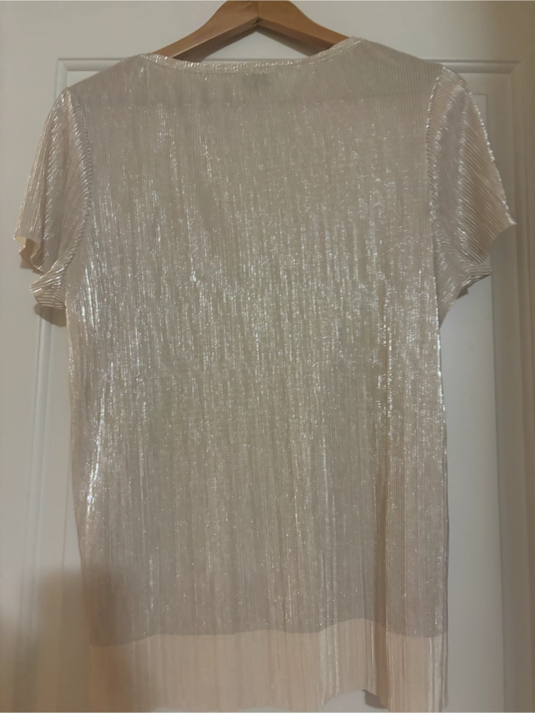 Your Sixth Sense Sheer Pleated Blouse, size L - photo 2