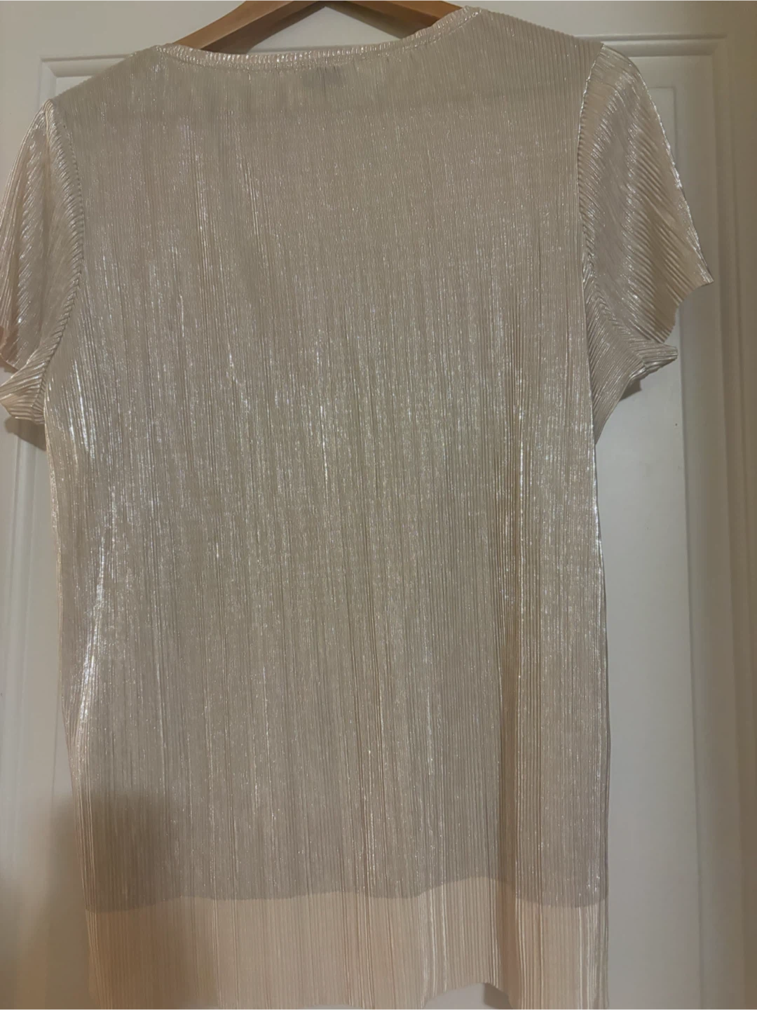 Your Sixth Sense Sheer Pleated Blouse, size L - photo 5