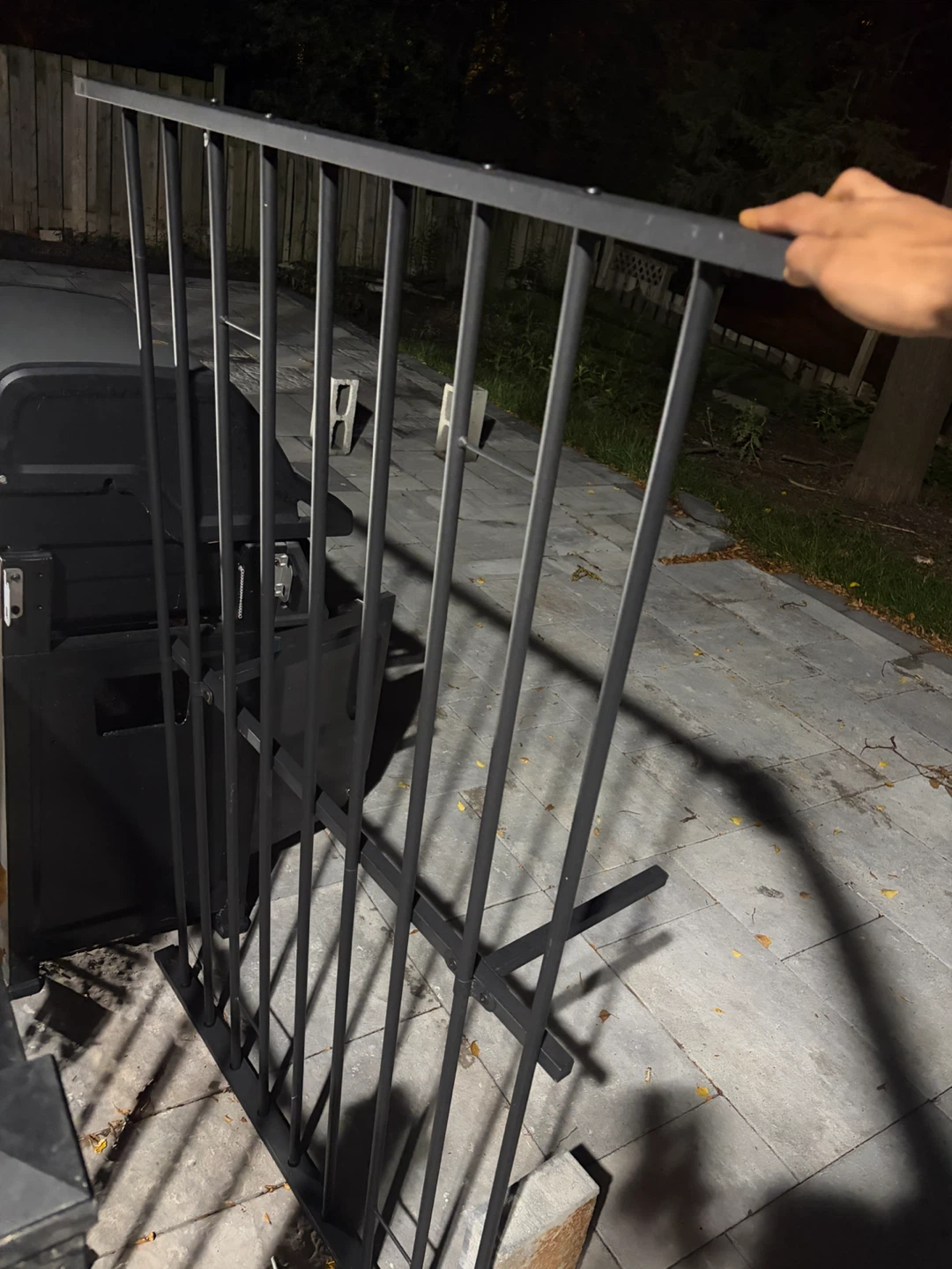 Black Metal Garden Gate