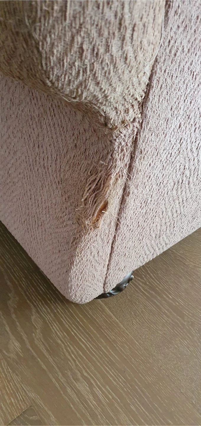 FREE Sofa and Love Seat - photo 3
