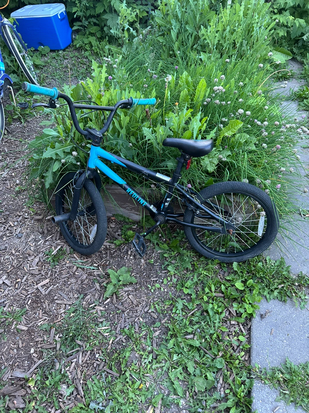 Youth bmx