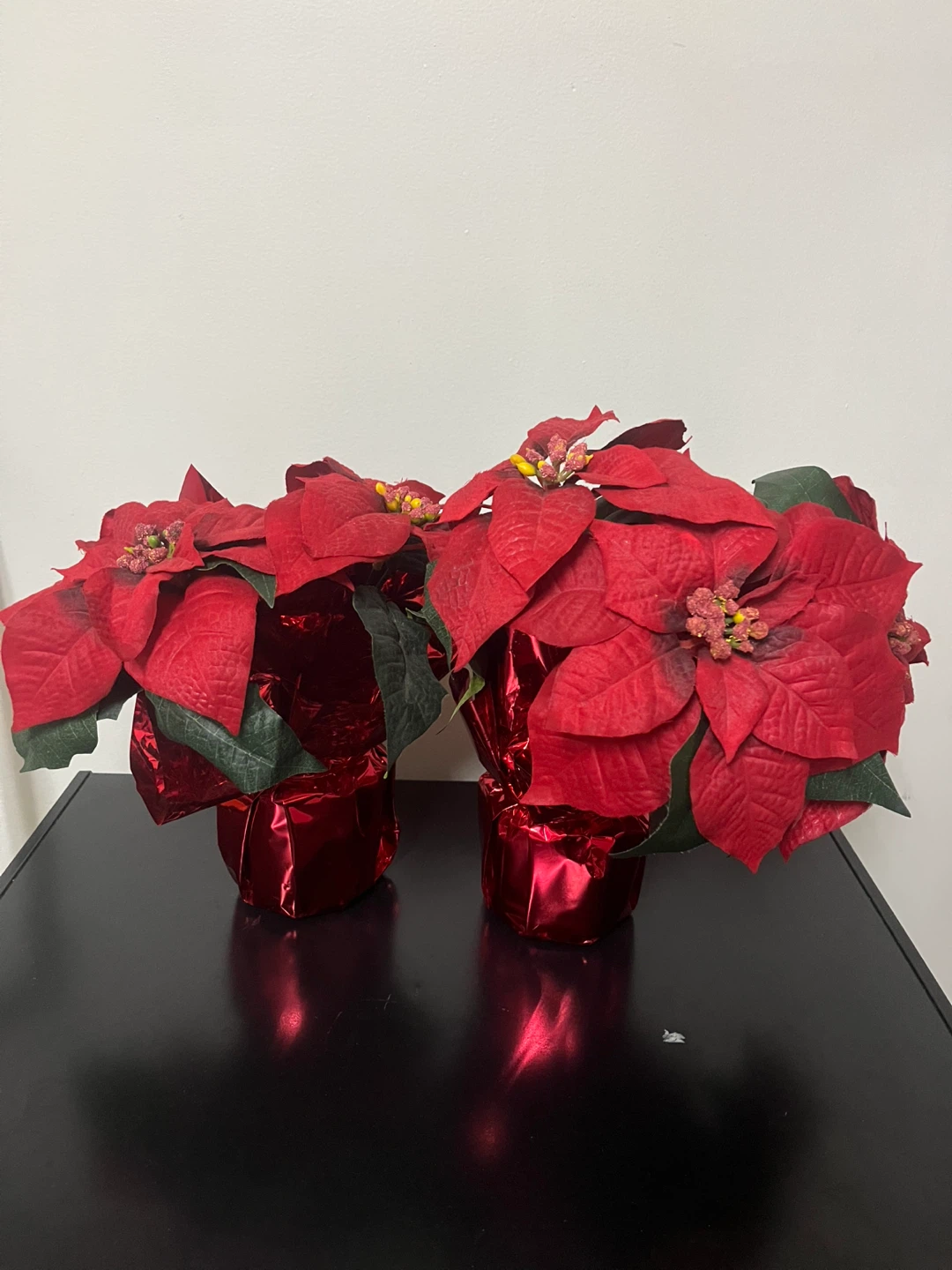 Pair of Red Poinsettia Christmas Plants