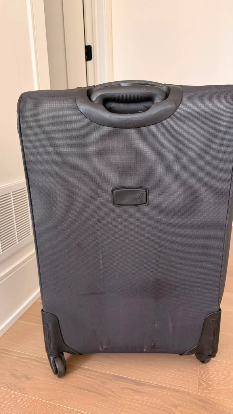 ORMI Charcoal Grey Softside Spinner Luggage
