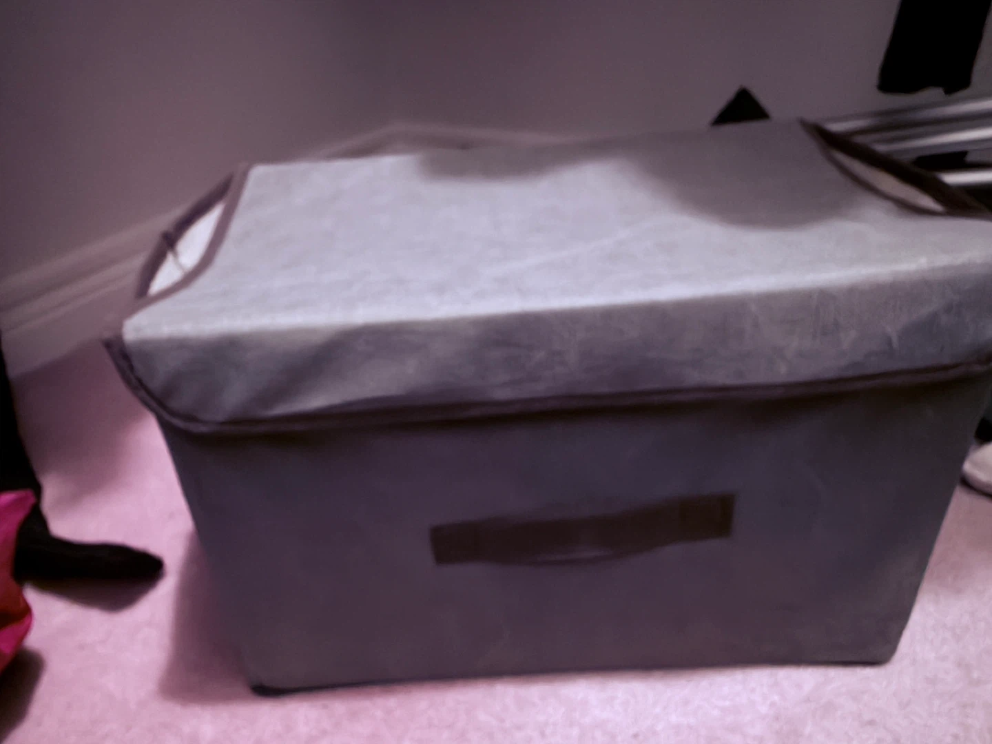 Storage Bin with Lid