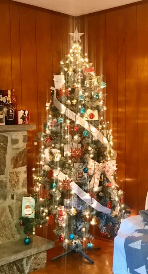 Christmas Tree with Decorations