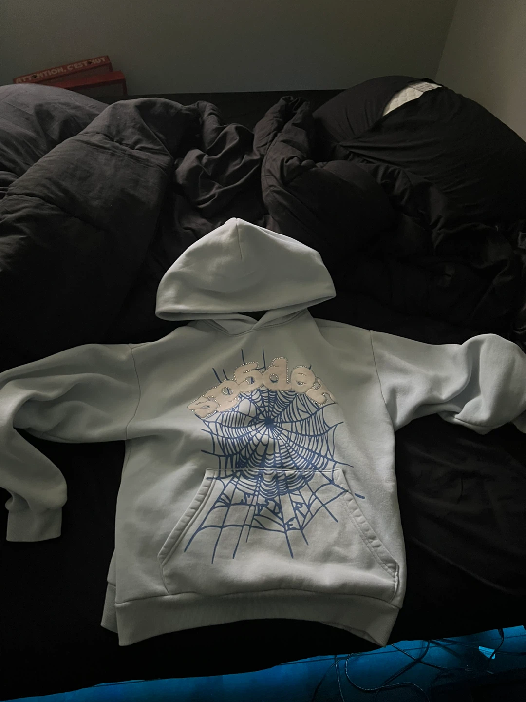 Spiderweb Graphic Hoodie