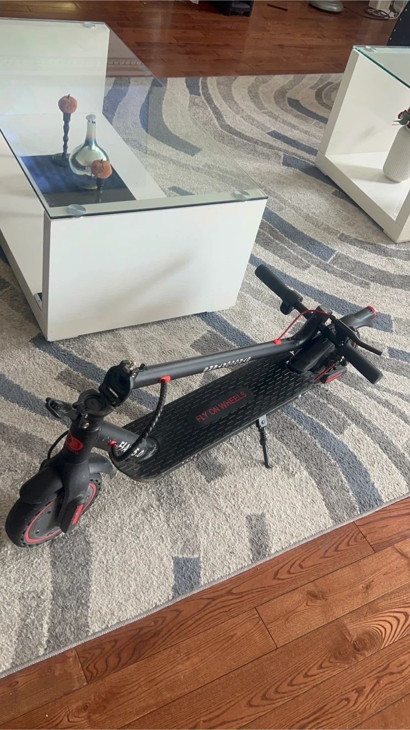 Selling Gyrocopter Flash 5.0 - photo 3
