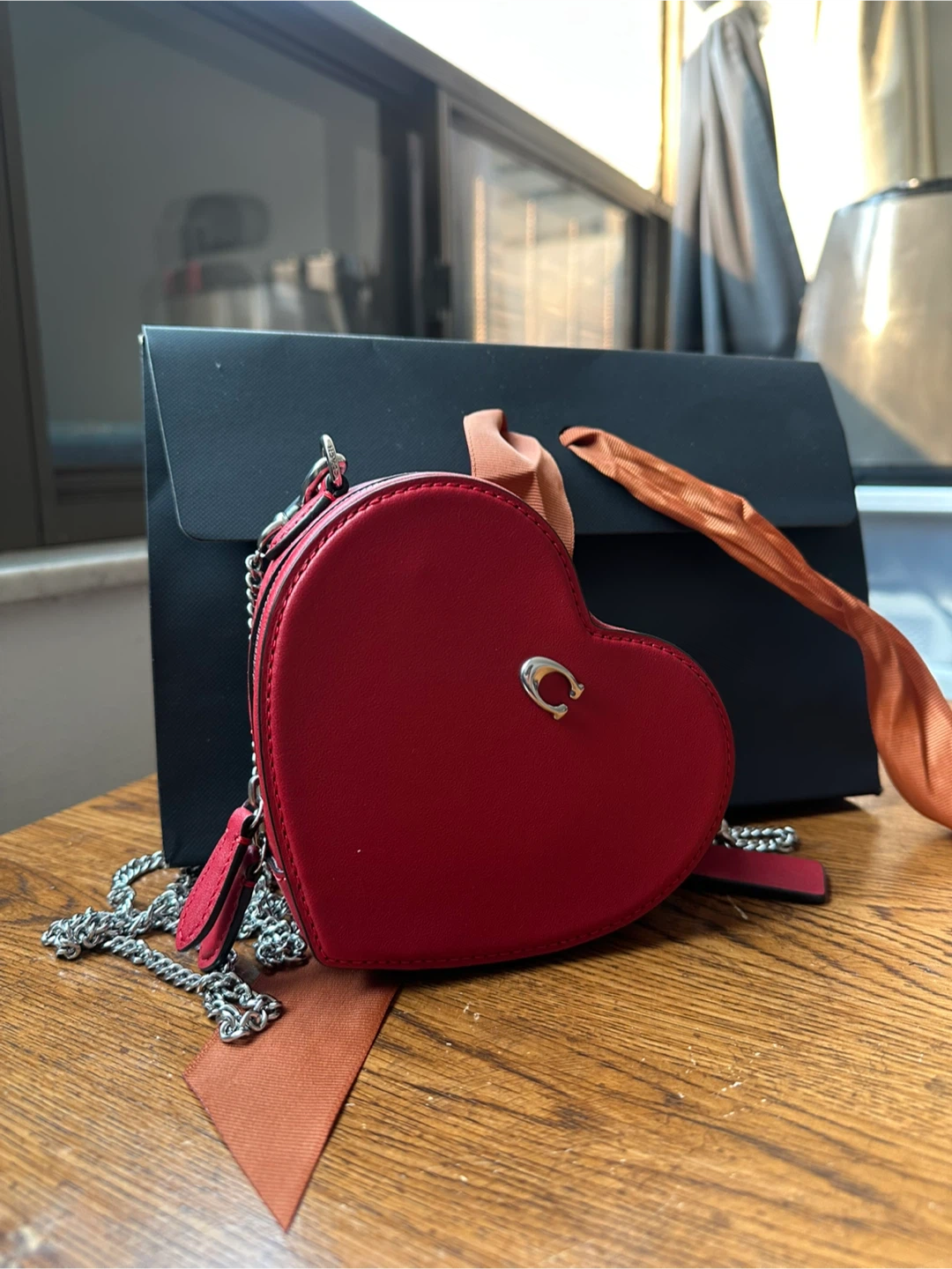 Coach Heart Crossbody Bag