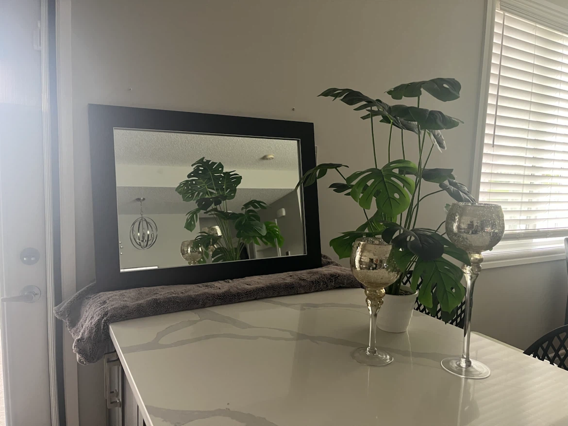 Beautiful Wall Mirror - large