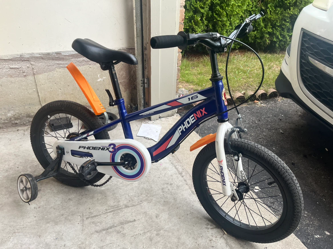 Phoenix 16" Kids Bicycle with Training Wheels