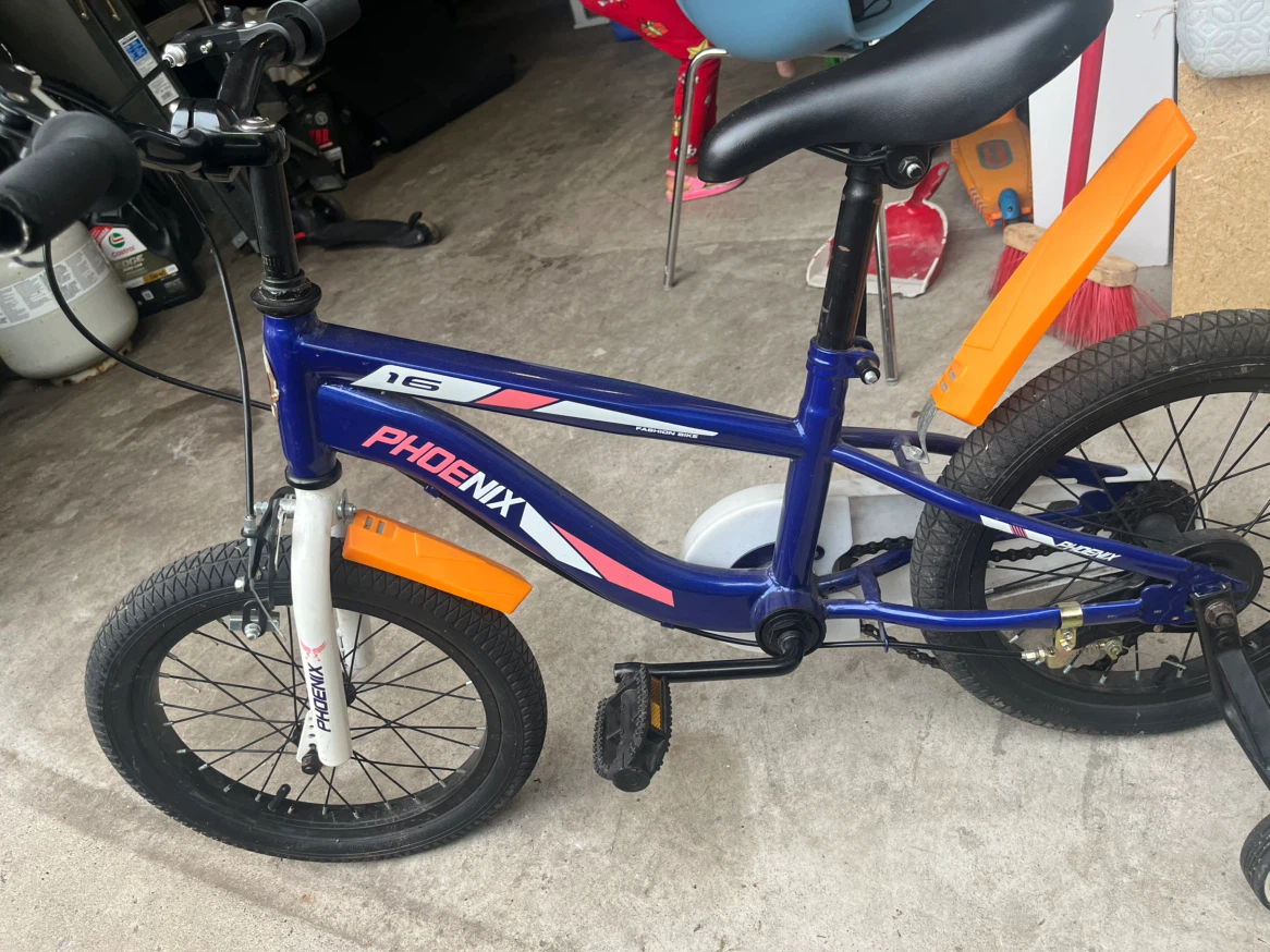 Phoenix 16" Kids Bicycle with Training Wheels - photo 3