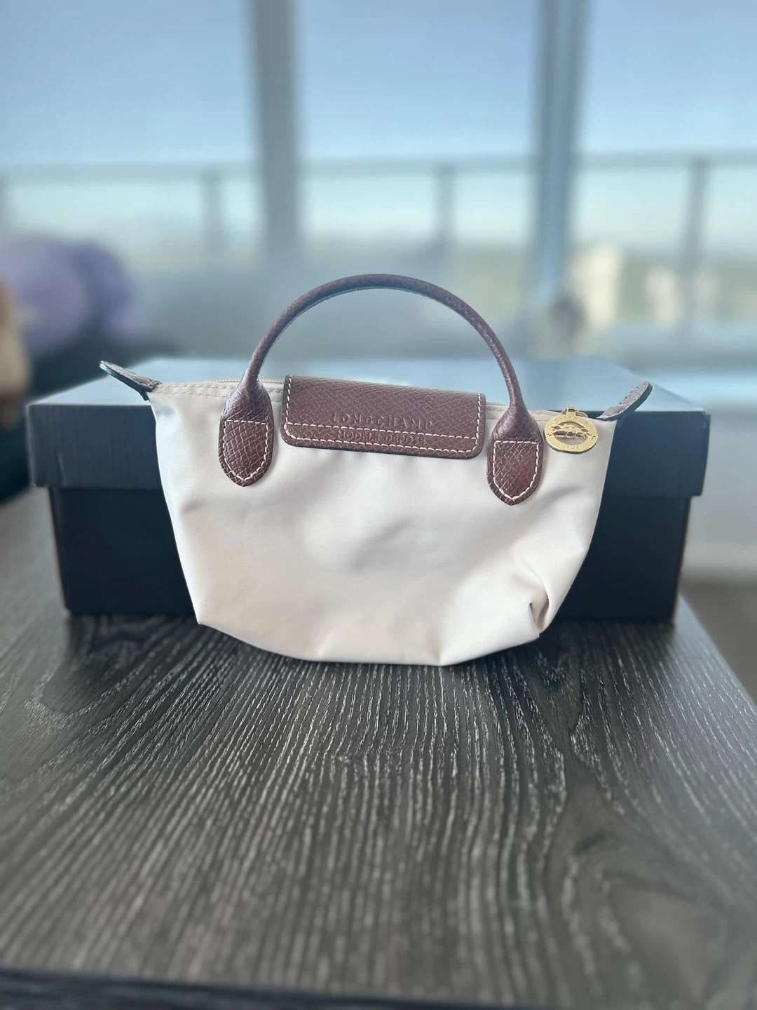Longchamp Pouch