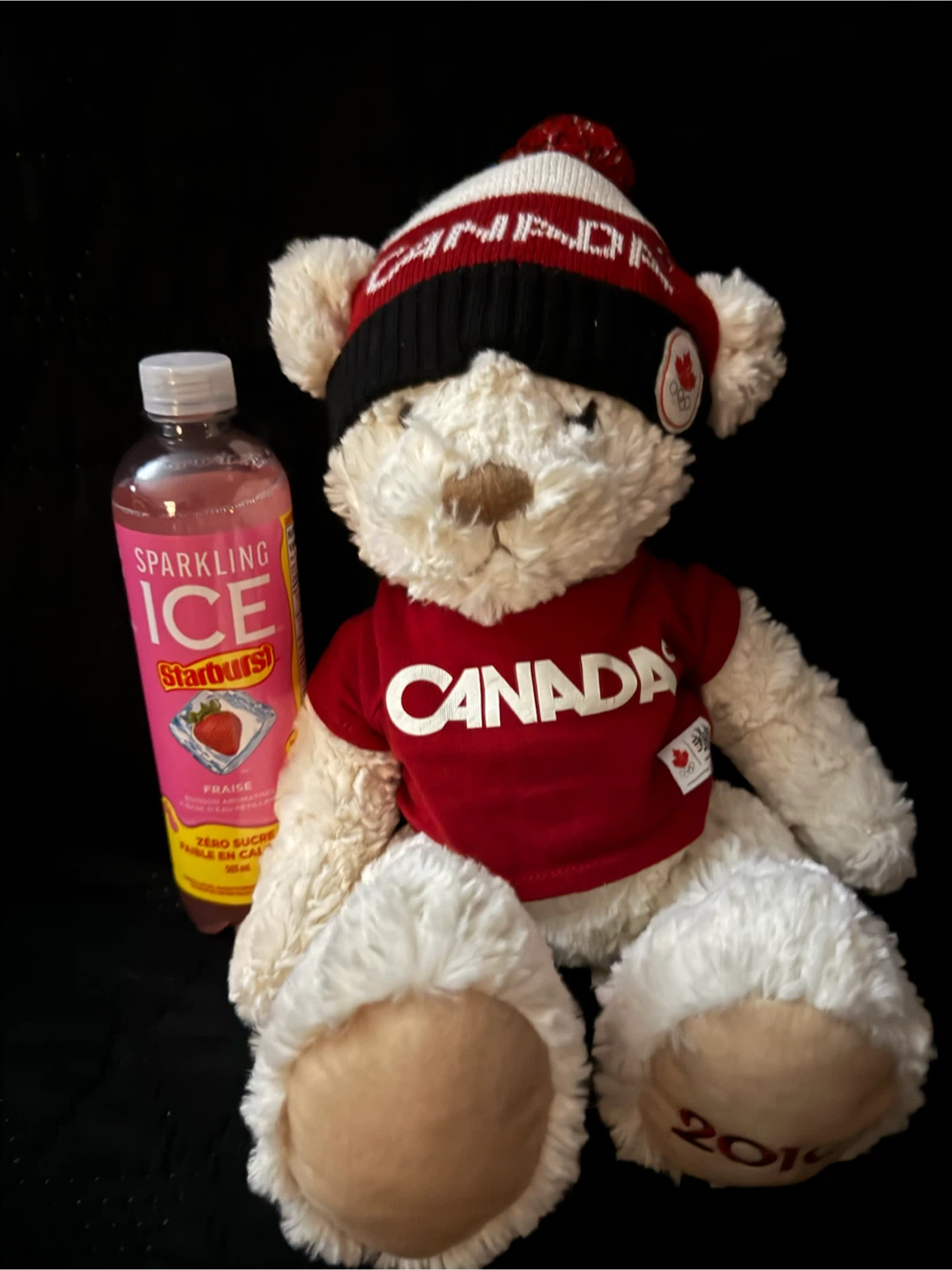 Hudson's Bay Company Canada Olympic Teddy Bear - photo 3