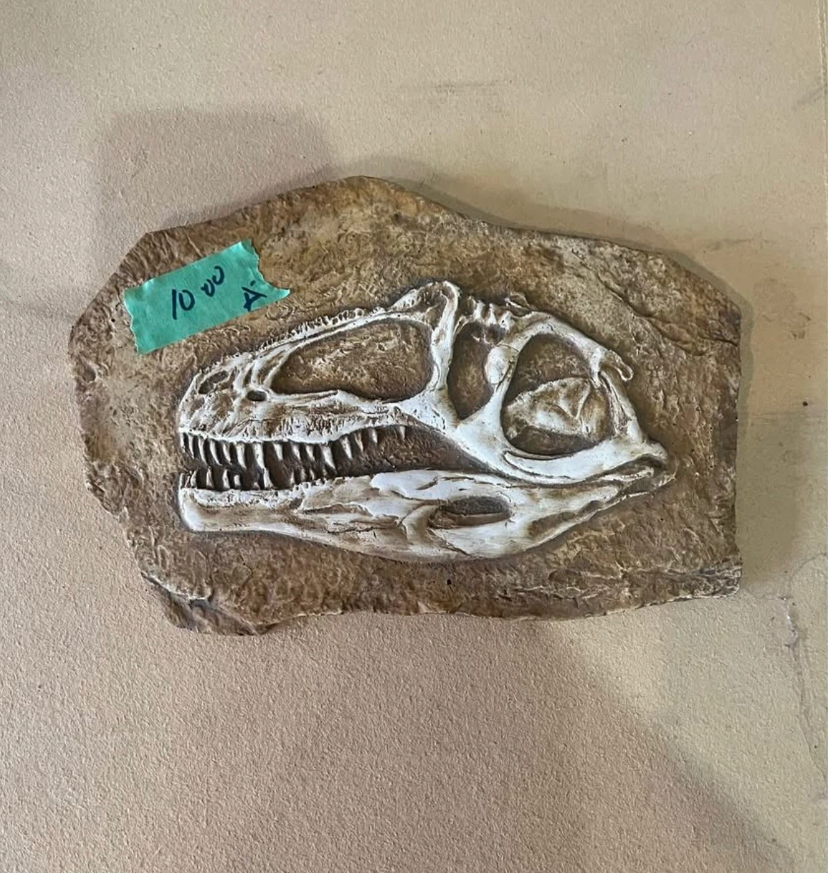 Dinosaur Fossil Replica on Stone