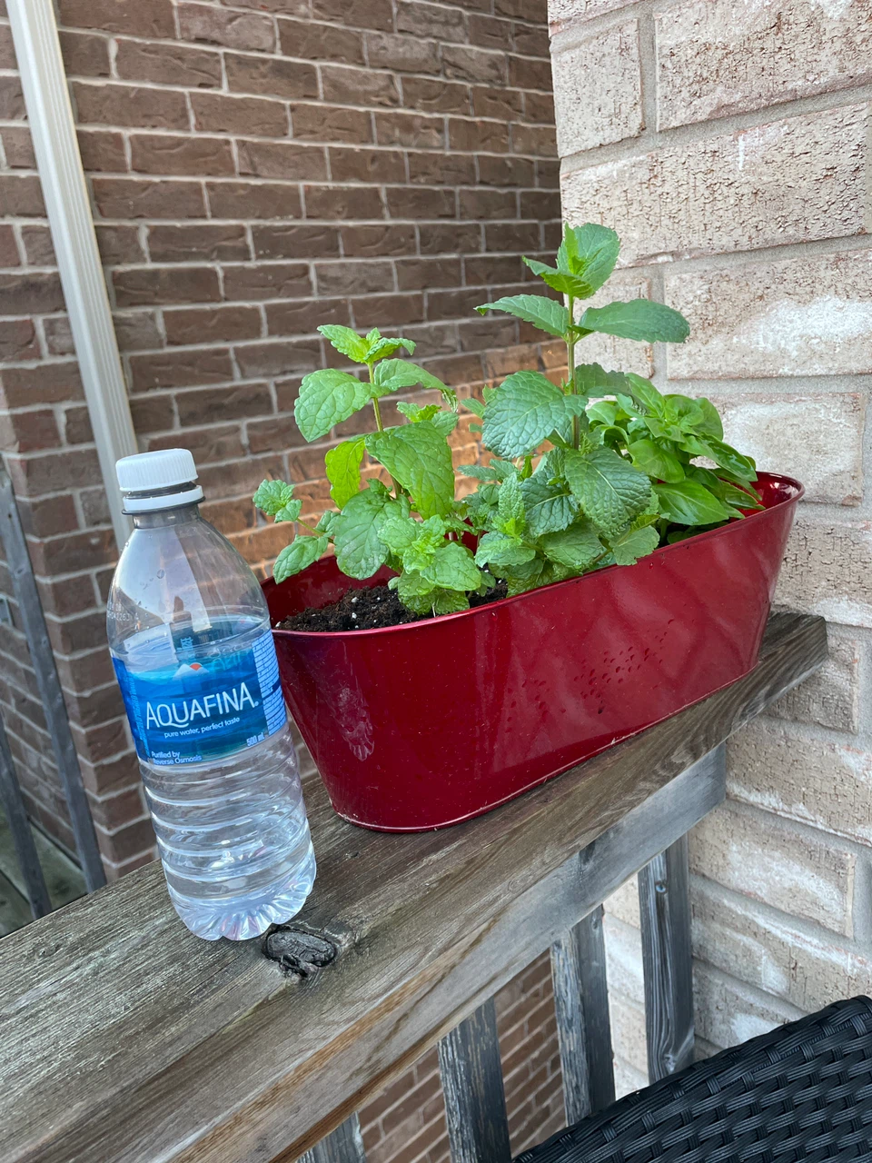 Red Planter with Mint and Basil Plants - photo 5