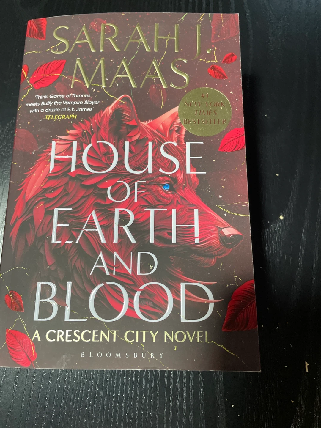 House of Earth and Blood by Sarah J. Maas