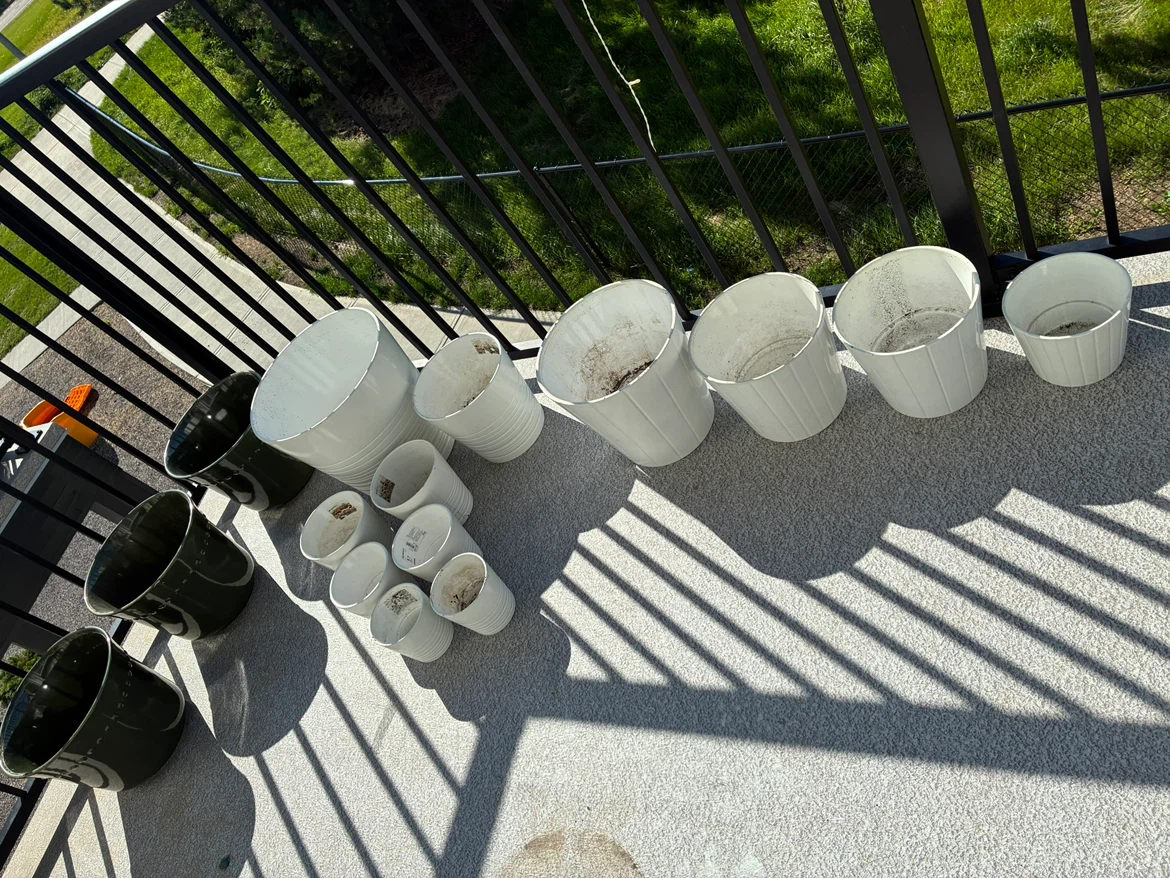 Plant Pots 🪴