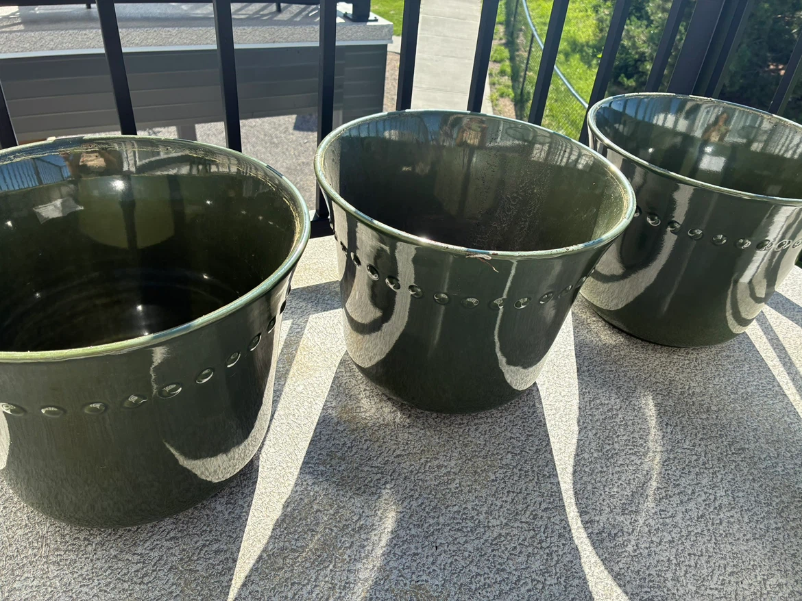 Plant Pots 🪴 - photo 2