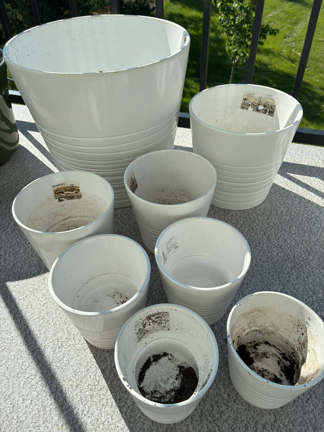 Plant Pots 🪴 - photo 3