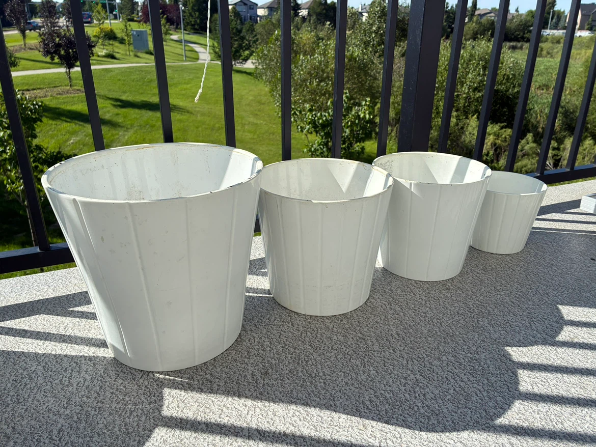 Plant Pots 🪴 - photo 4