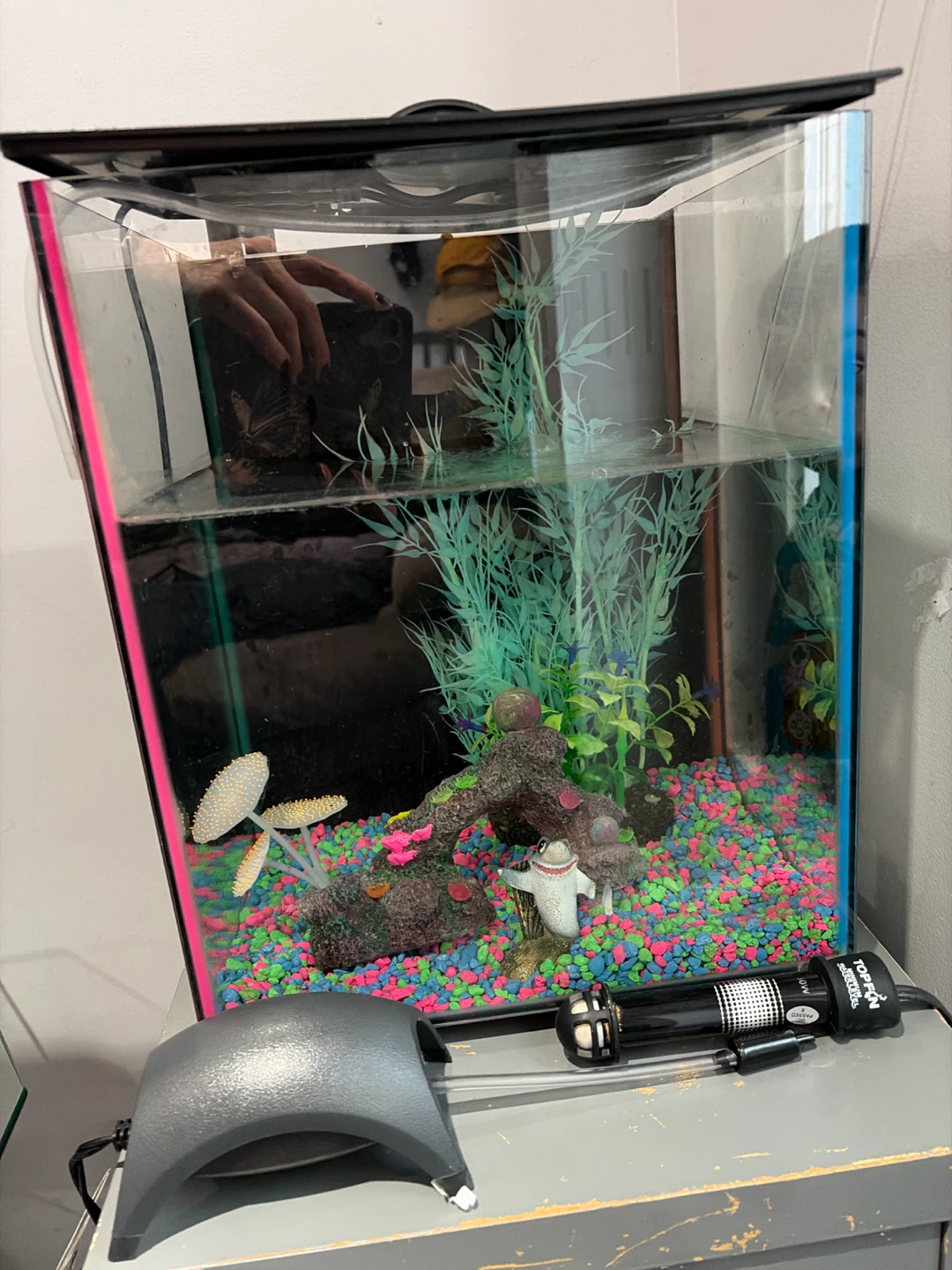 Complete Fish Tank / Aquarium Setup with Accessories