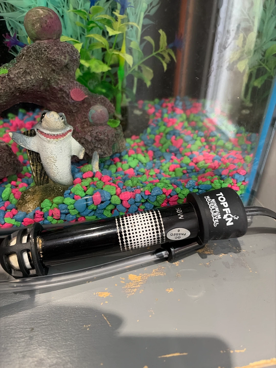 Complete Fish Tank / Aquarium Setup with Accessories - photo 3