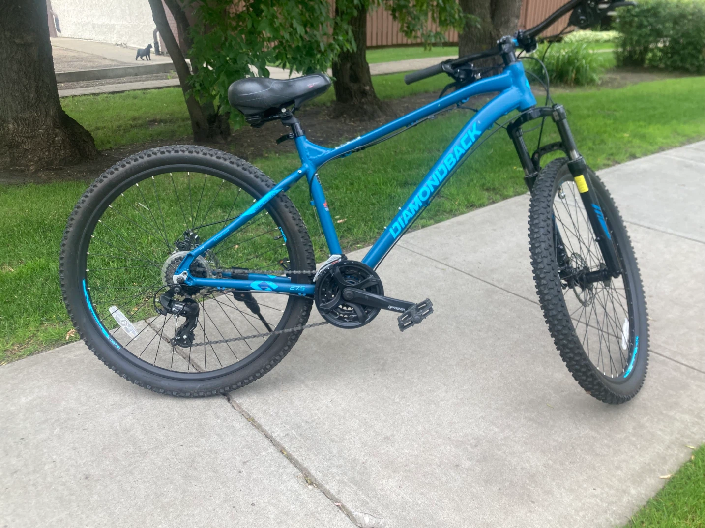 DIAMONDBACK Mountain Bike - photo 5