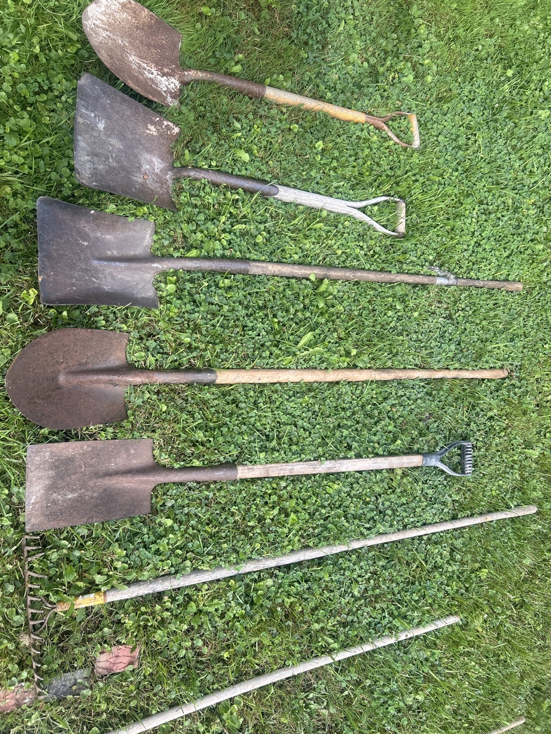 Assorted Garden Tools - Shovels and Rakes - photo 3