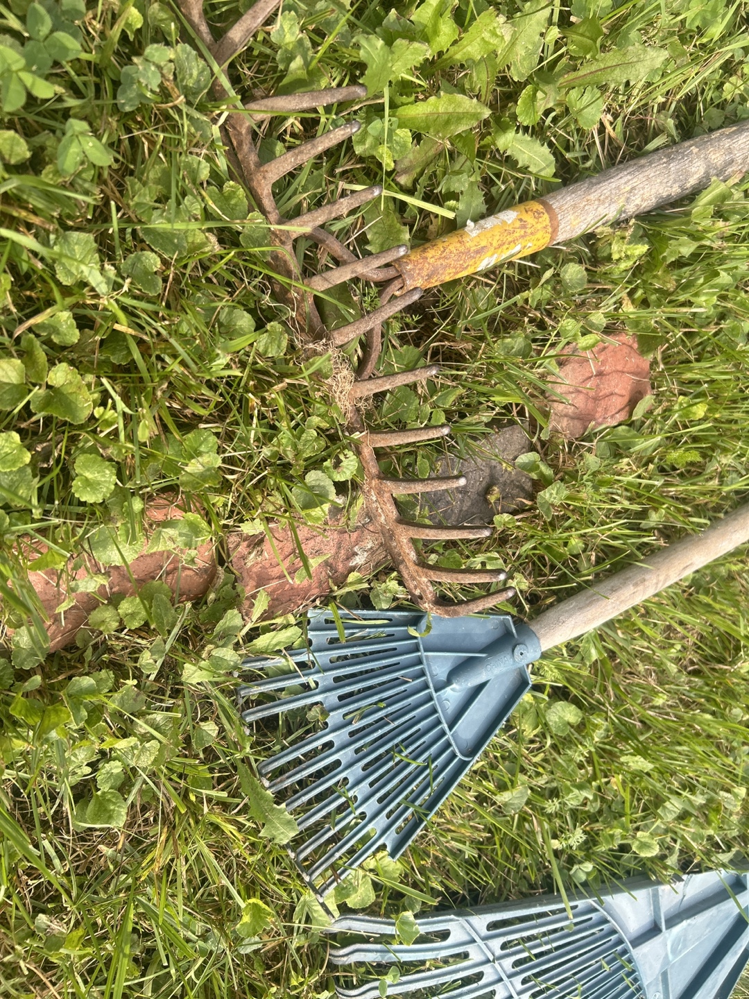 Assorted Garden Tools - Shovels and Rakes - photo 4