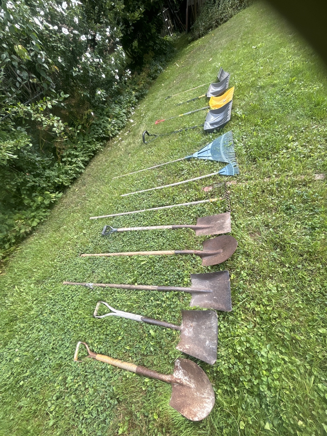 Assorted Garden Tools - Shovels and Rakes