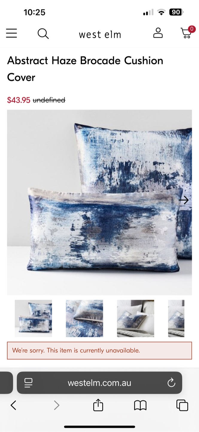 2 West Elm Abstract Haze Brocade Cushions