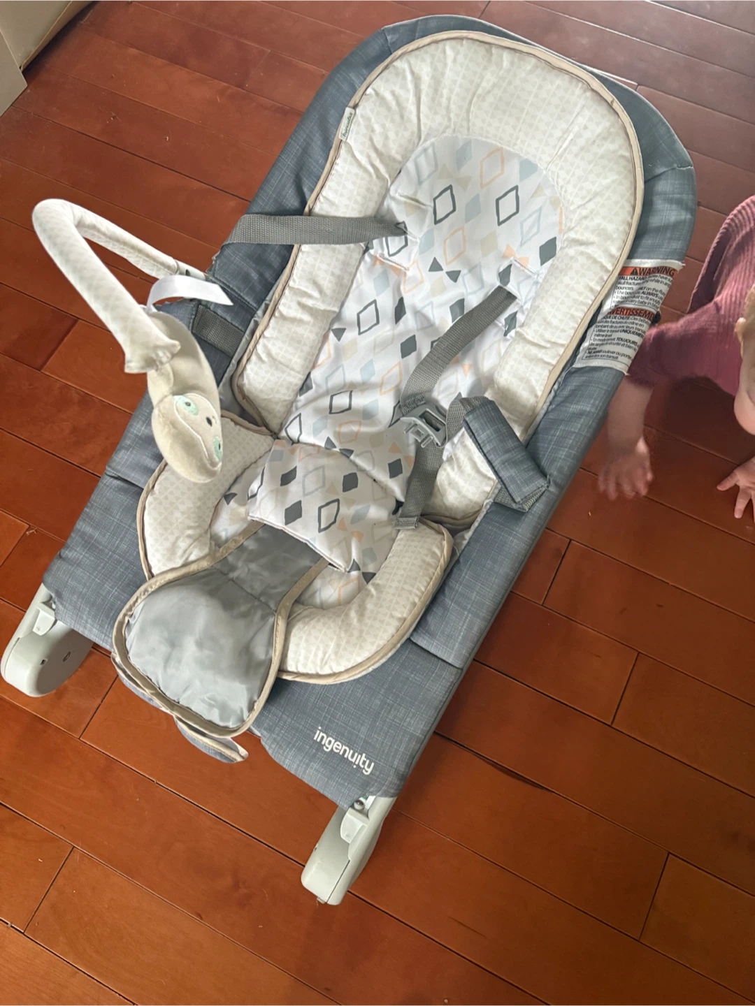 Ingenuity Baby Bouncer Seat